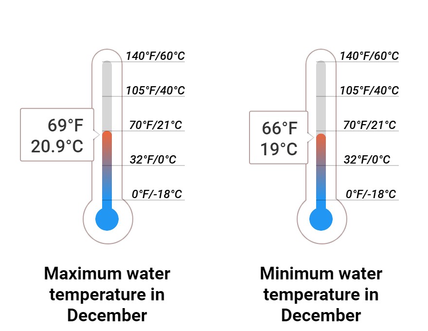 Average Sea temperature